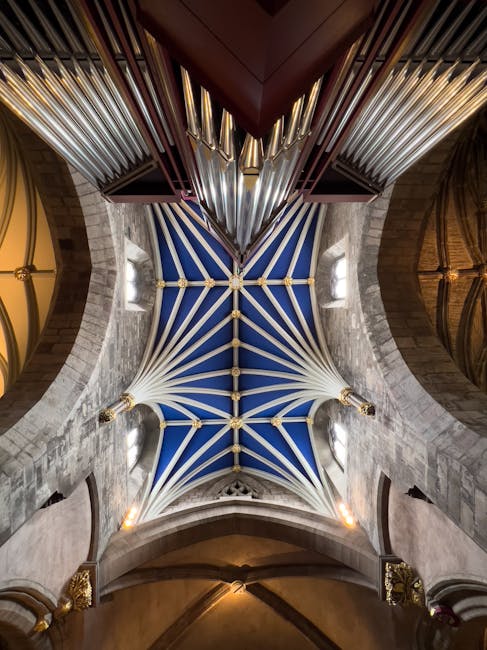 An upward view of a vaulted ceiling inside a historic building, showcasing intricate stone arches and ribbed vaults painted in bright blue with white accents, supported by ornate columns with gold detailing. Natural light filters through small windows along the side walls, illuminating the architectural details. In the foreground, part of a large, dark wooden organ with metal pipes is visible, indicating the interior space may be a church or cathedral. The ceiling structure reflects careful craftsmanship, with modern lighting fixtures adding subtle illumination. This scene aligns with house removals or packing and moving services, where careful handling of valuable or delicate architectural features is essential, as managed by companies such as Man with Van St Giles. The image underscores the importance of professional transport and logistics during interior relocation or structural preservation activities.